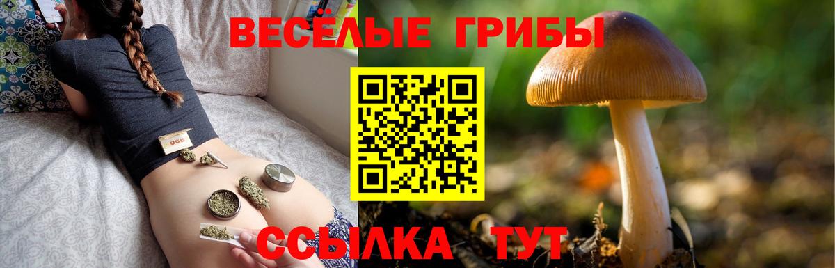 Галлюциногенные грибы GOLDEN TEACHER Семёнов